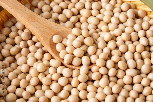 大豆(白) 500g(600円) x 4袋