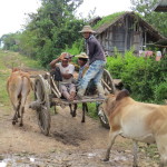 Tani Lar Le village