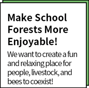 50th 03 School Forest